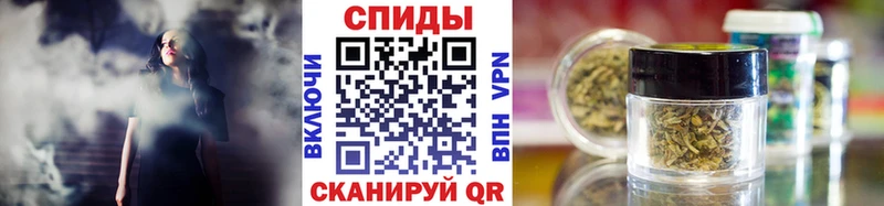 Купить закладки  Королёв  БУТИРАТ 1.4BDO 