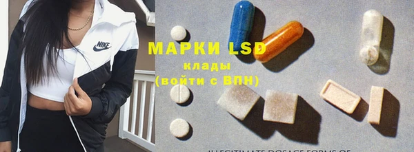 mdpv Краснослободск