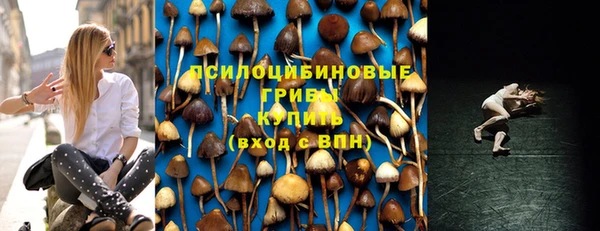мяу мяу кристалл Костерёво