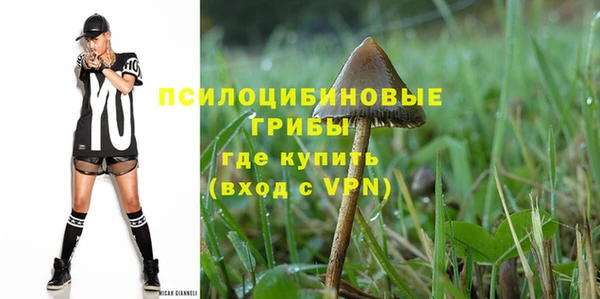ПСИЛОЦИБИНОВЫЕ ГРИБЫ Красноперекопск