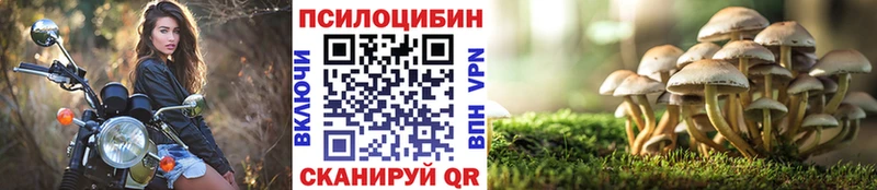 Псилоцибиновые грибы GOLDEN TEACHER  Купить где  Королёв 